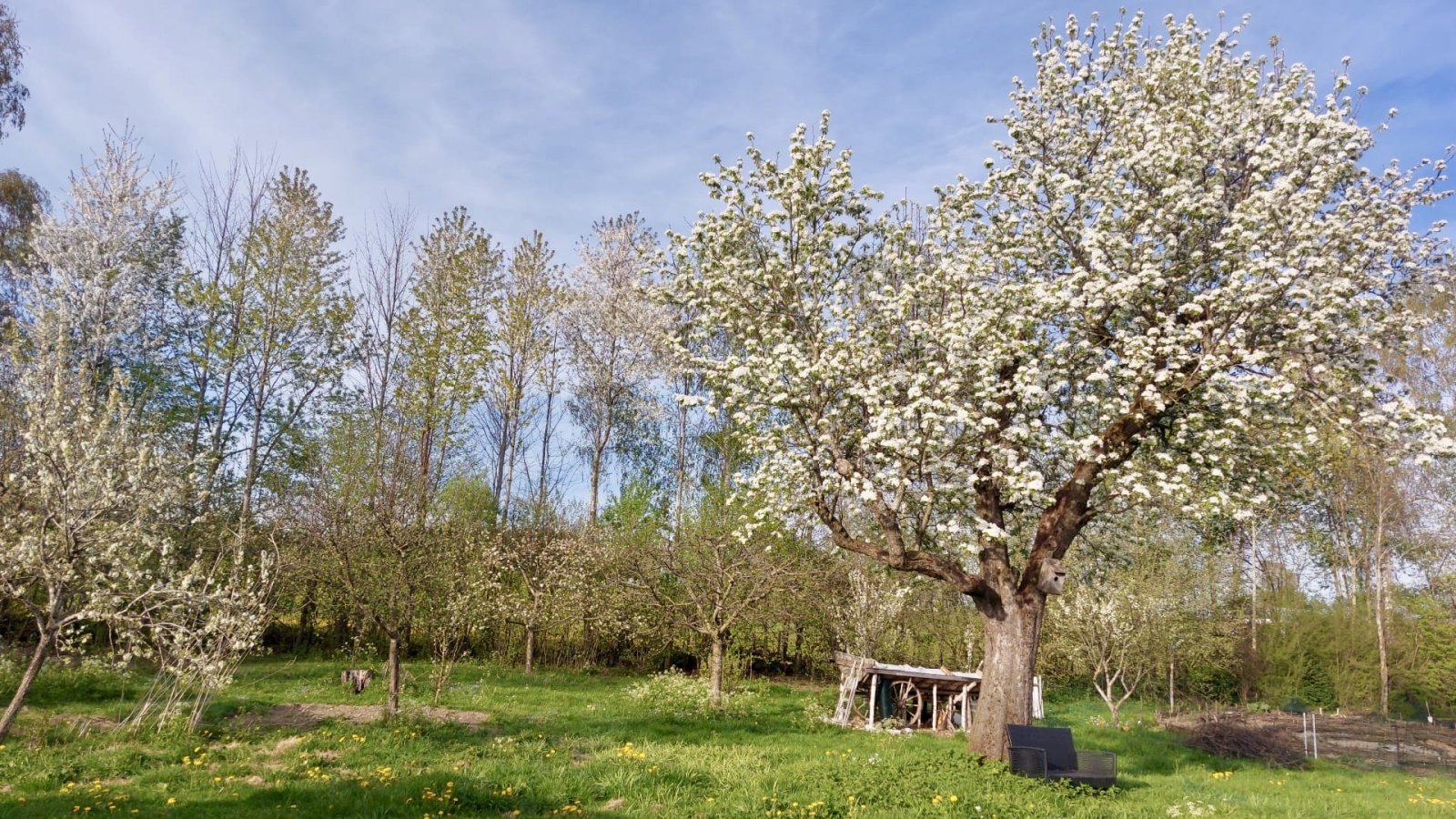 Exclusives Landhaus/Ehemaliges Bauernhaus in Alleinlage bei Kempten im schönen Oberallgäu
