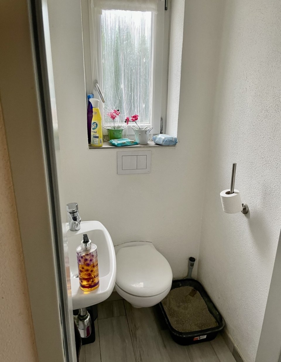 Gäste WC
