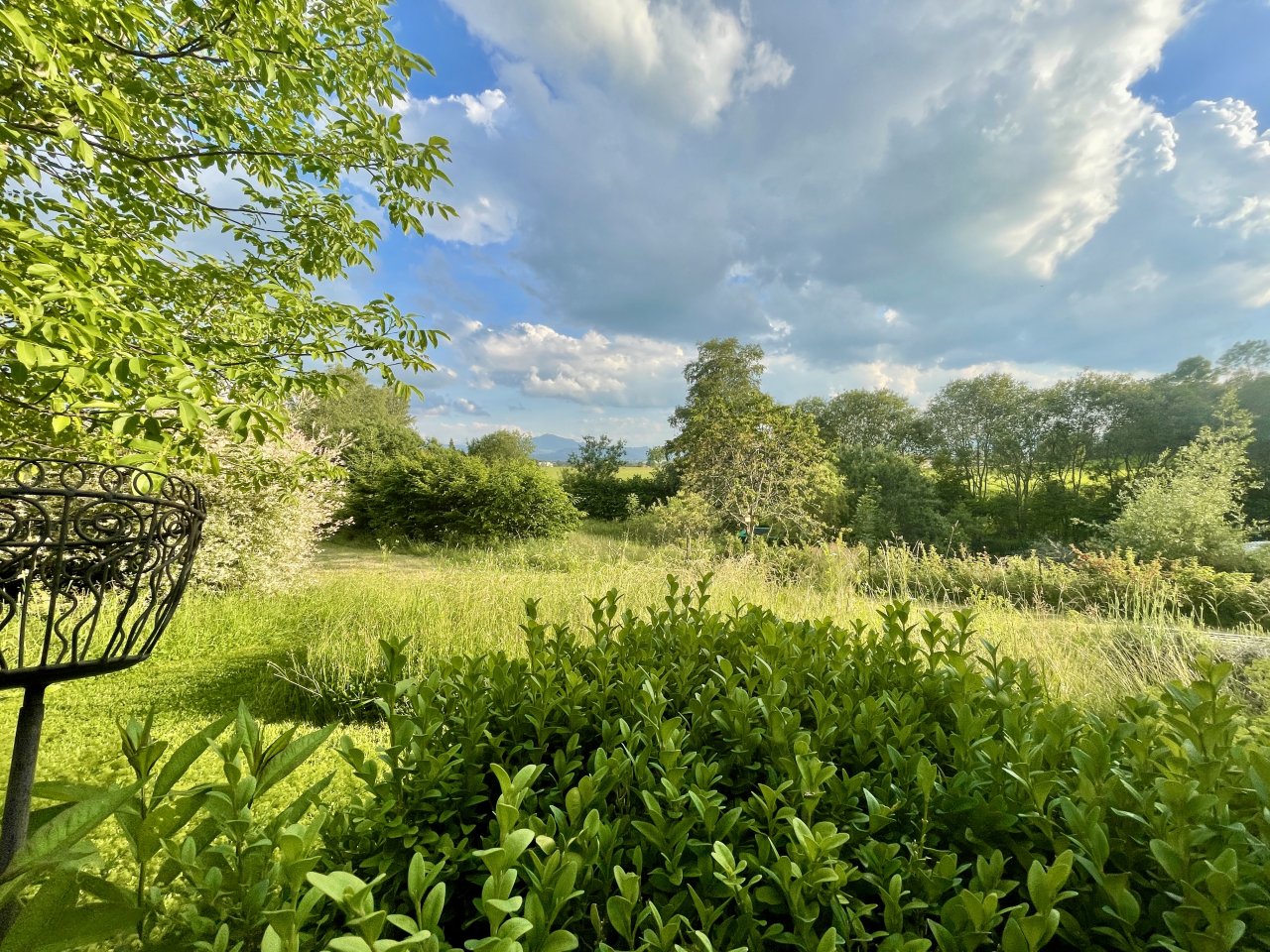 Ausblick und Weitblick